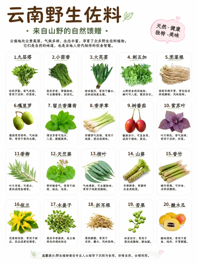 云南酸木瓜实拍