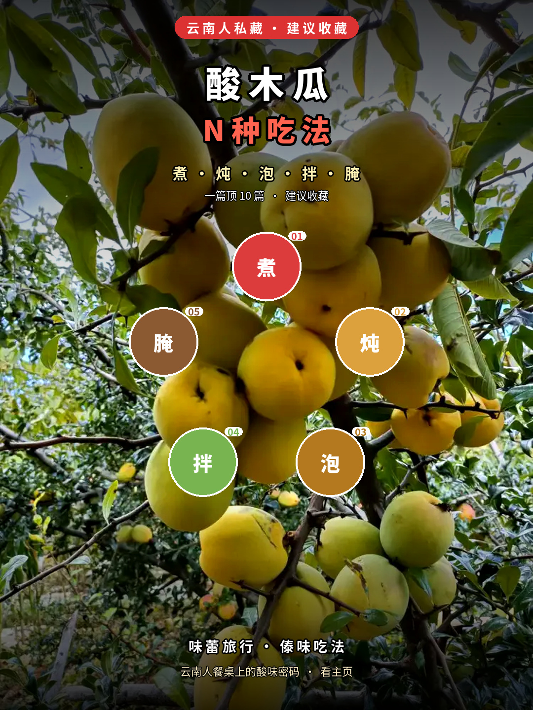 酸木瓜吃法