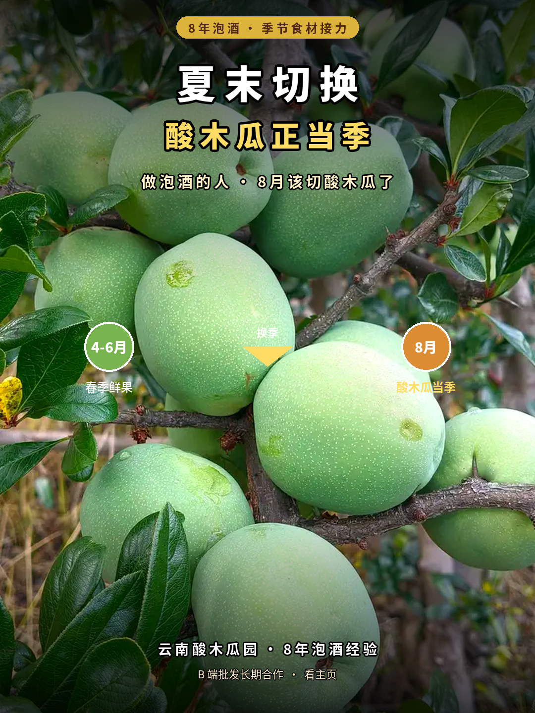 泡酒人群迁移